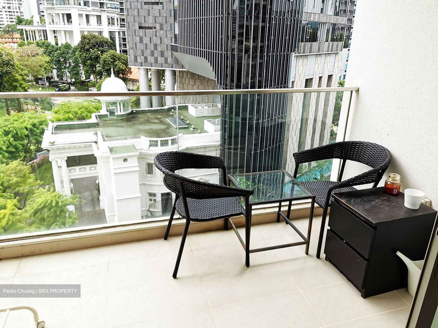 The Laurels (D9), Condominium #556158181